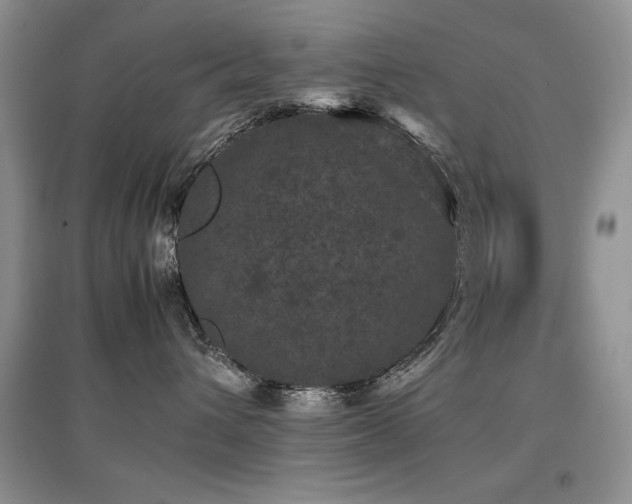 X0000097800432200803141058