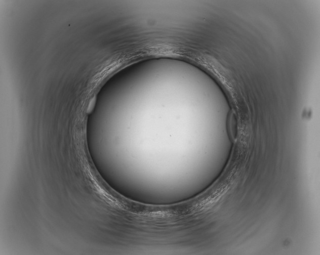 X0000097800433200803141057