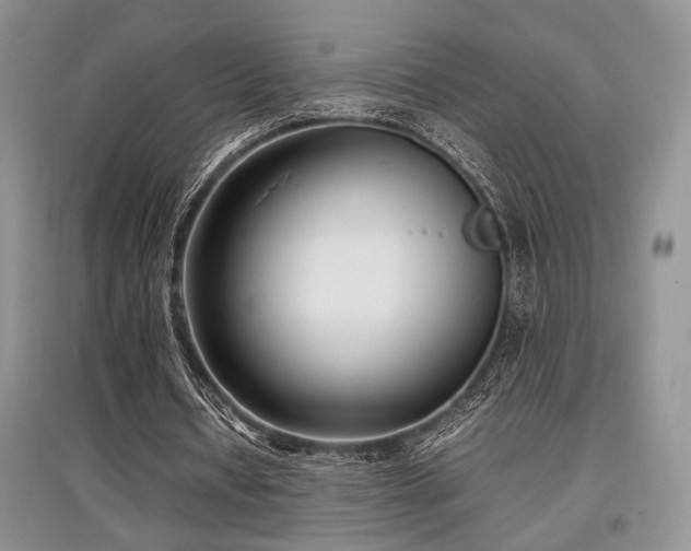 X0000097800434200803141057