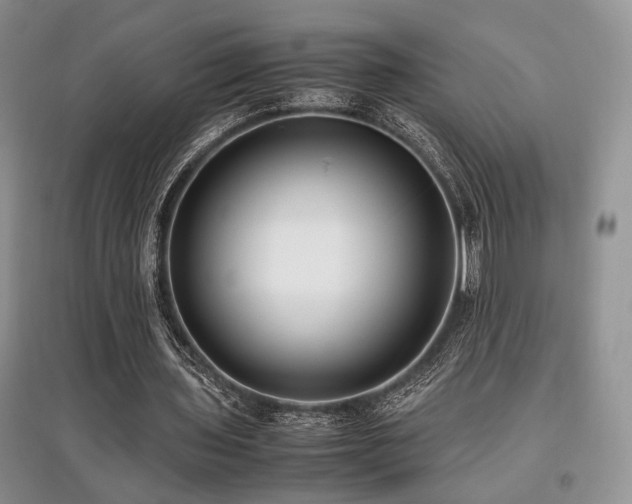 X0000097800435200803141057