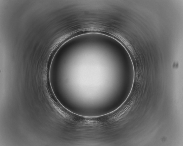 X0000097800437200803141057