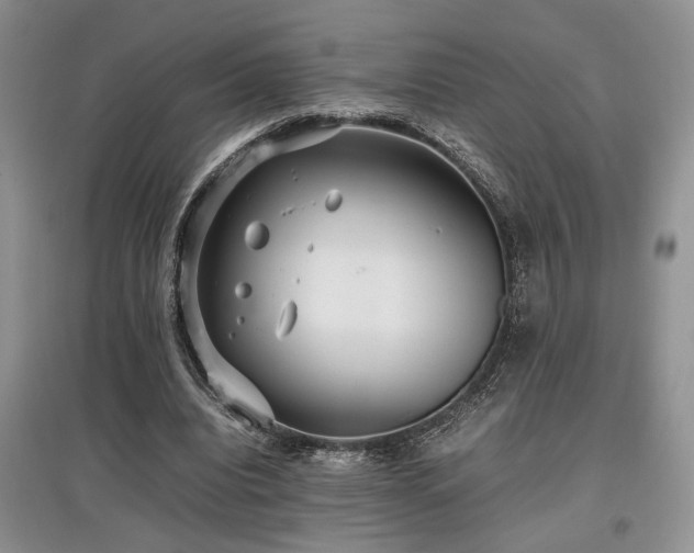 X0000097800440200803141057