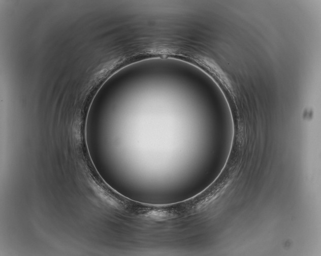 X0000097800441200803141057