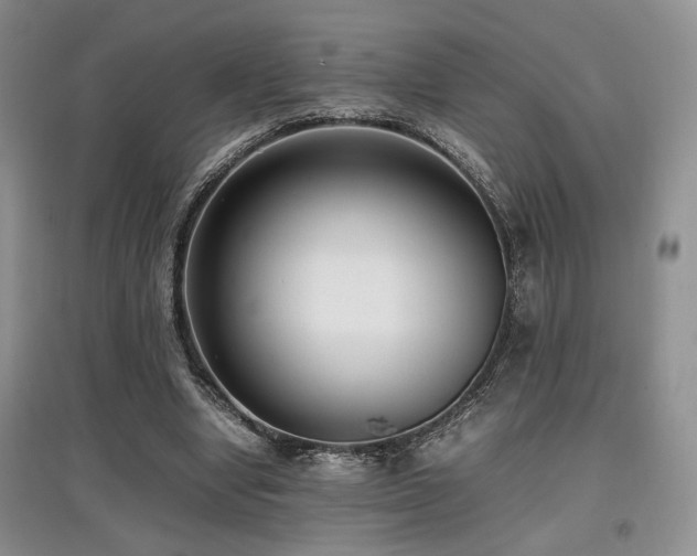 X0000097800442200803141057