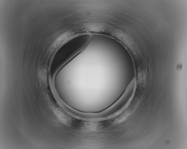 X0000097800444200803141057