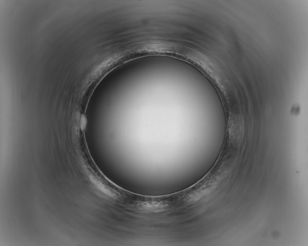 X0000097800445200803141057