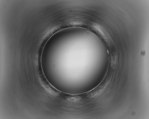 X0000097800447200803141057