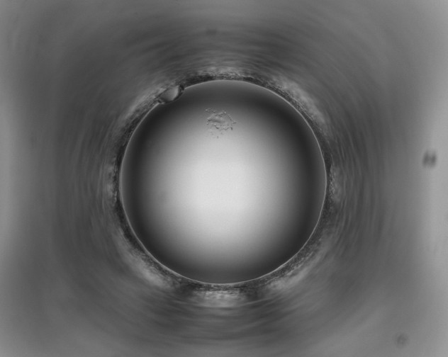 X0000097800449200803141057