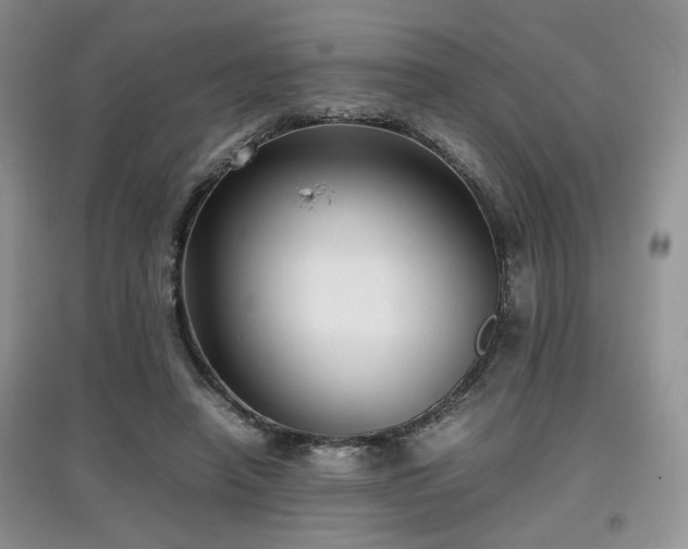 X0000097800450200803141057