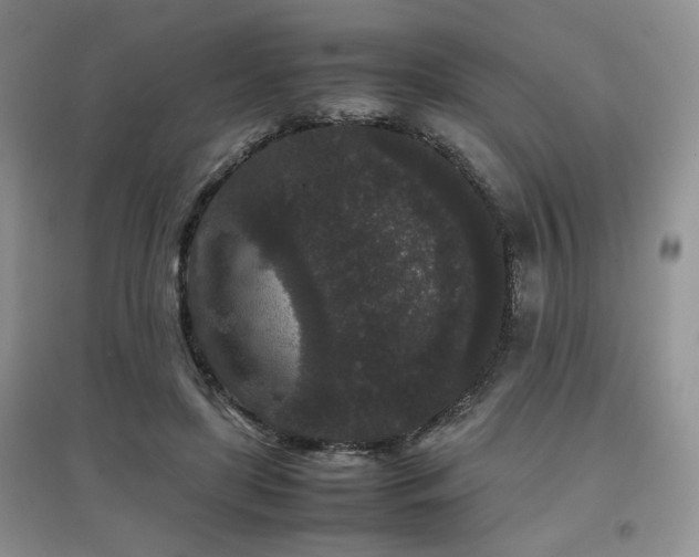 X0000097800451200803141058