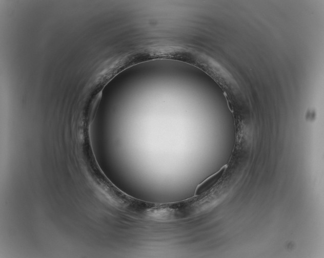 X0000097800452200803141058