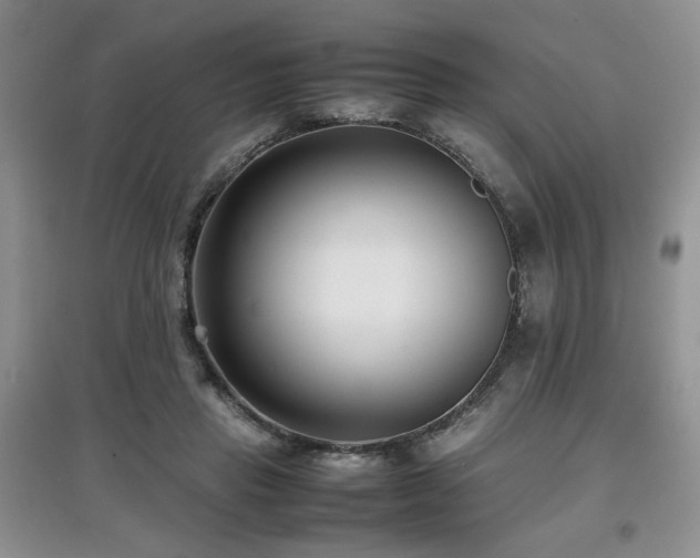 X0000097800453200803141058