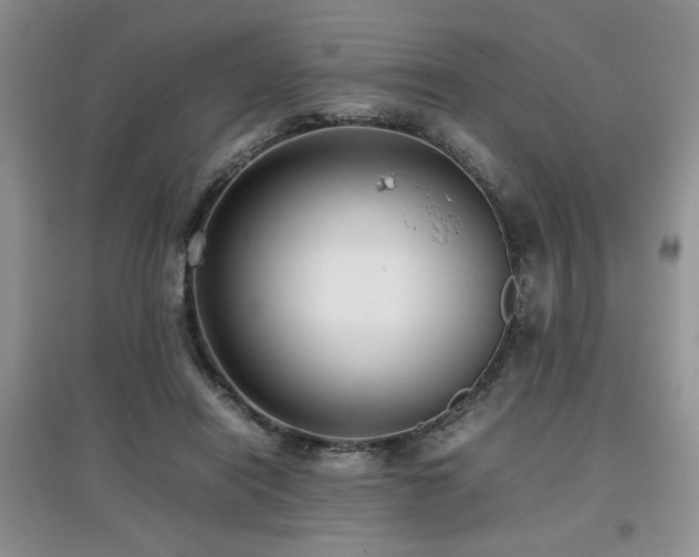 X0000097800454200803141058