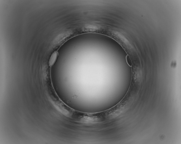 X0000097800455200803141058