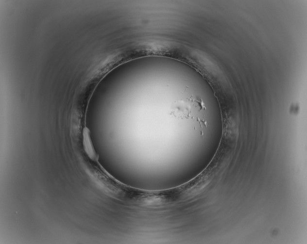 X0000097800456200803141058