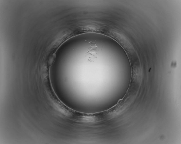 X0000097800457200803141058