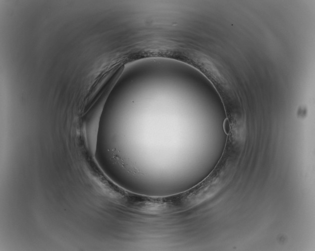 X0000097800458200803141058