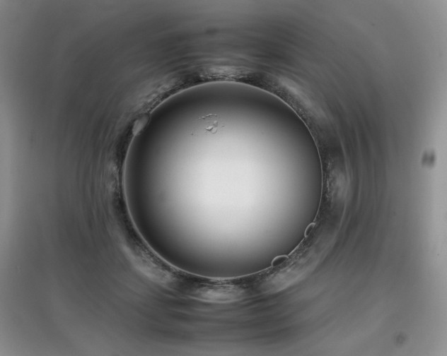 X0000097800459200803141058