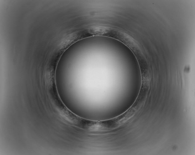 X0000097800460200803141058