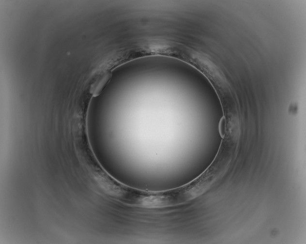 X0000097800461200803141058