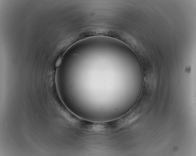 X0000097800462200803141058