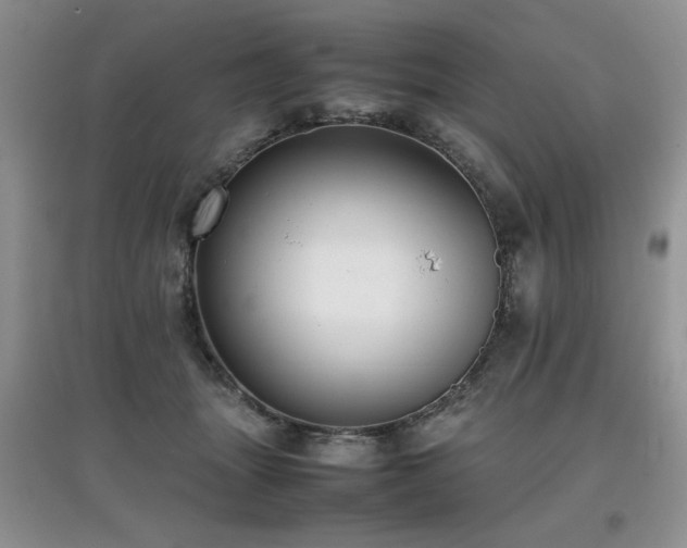 X0000097800463200803141058