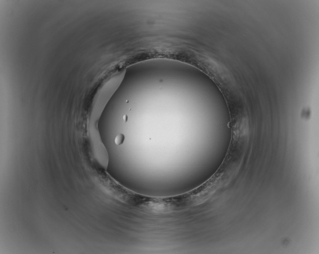 X0000097800464200803141058