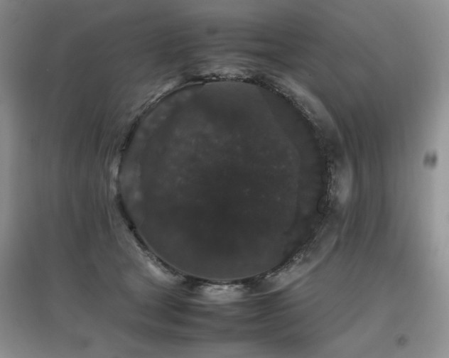 X0000097800465200803141058