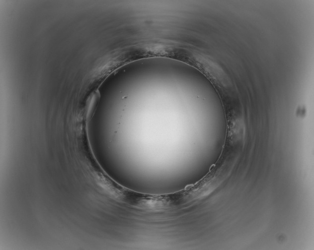 X0000097800466200803141058