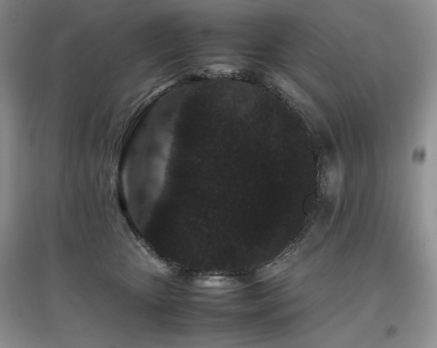 X0000097800467200803141058