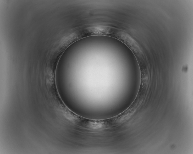 X0000097800469200803141058