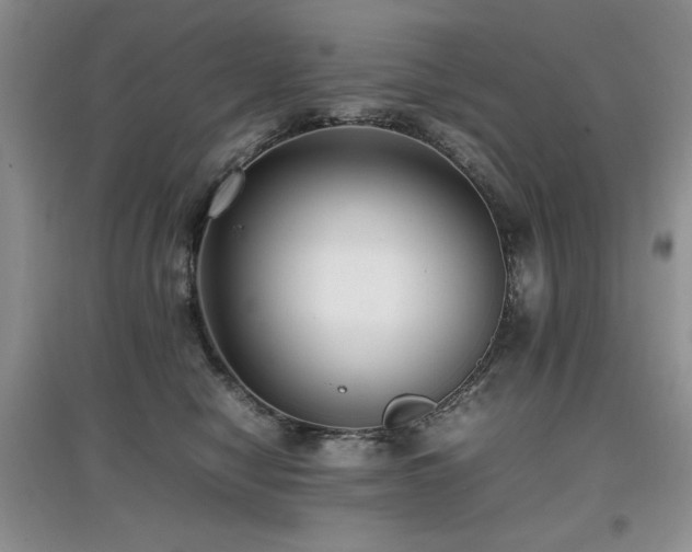 X0000097800470200803141058