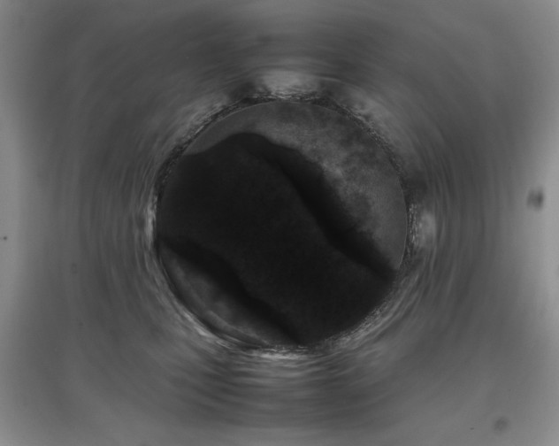 X0000097800471200803141058