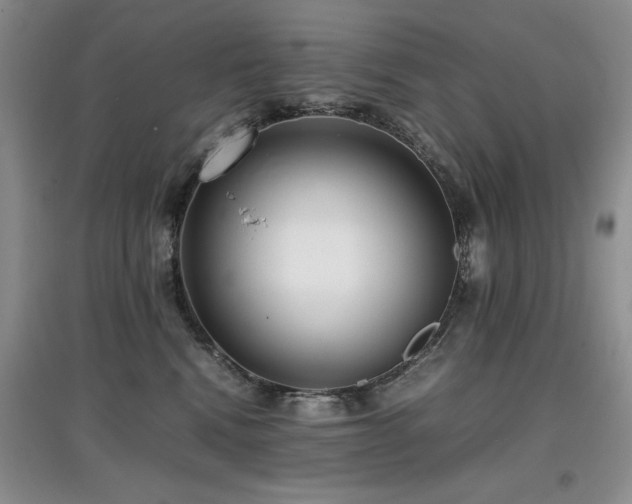 X0000097800472200803141058