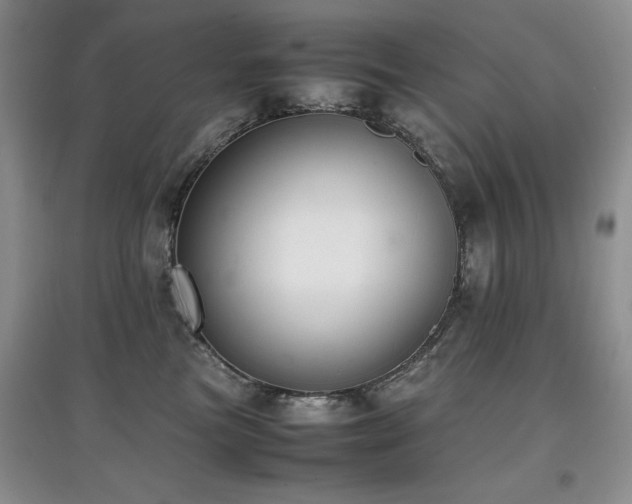 X0000097800473200803141058