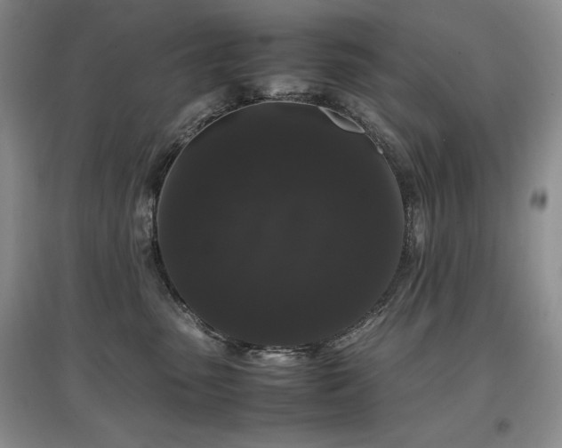 X0000097800475200803141058