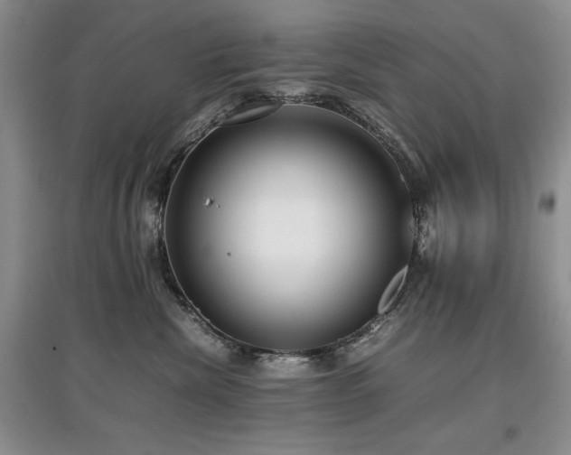 X0000097800476200803141058