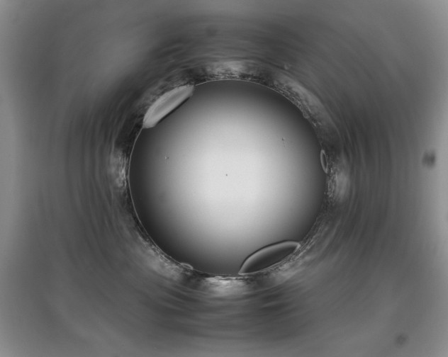 X0000097800477200803141058