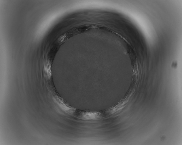 X0000097800479200803141058