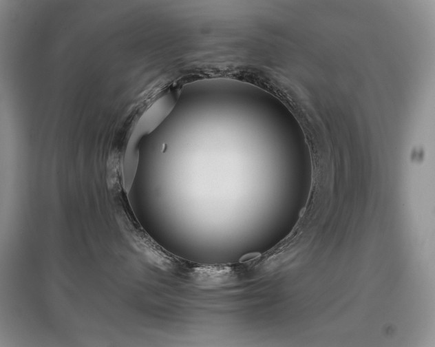 X0000097800480200803141058