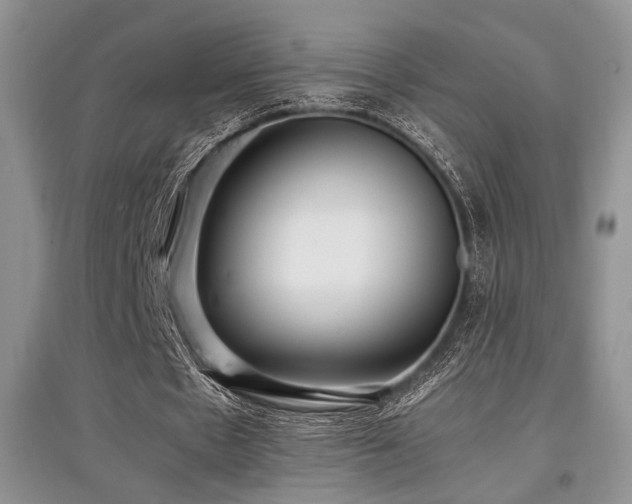 X0000097800481200803141057