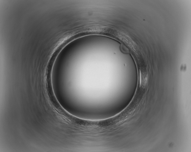 X0000097800483200803141057