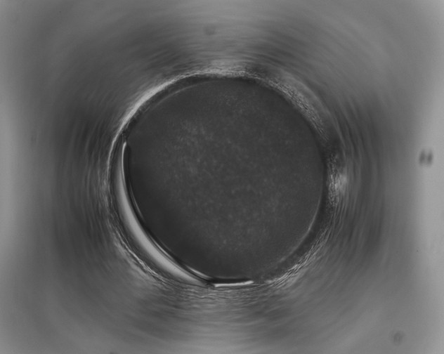 X0000097800484200803141057