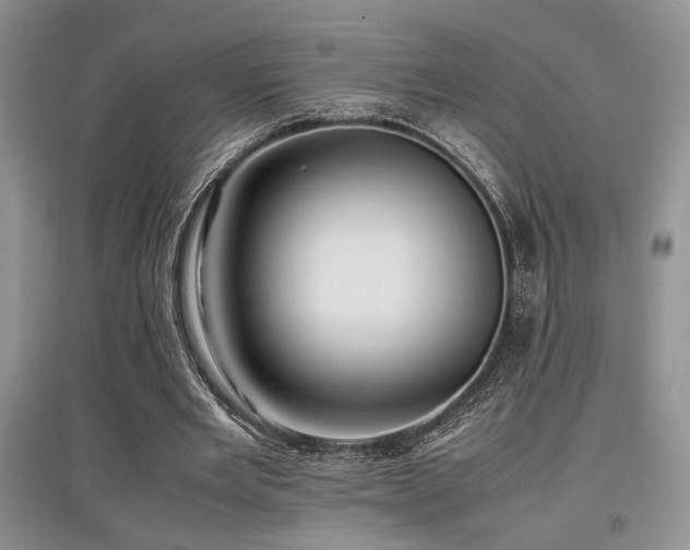 X0000097800485200803141057