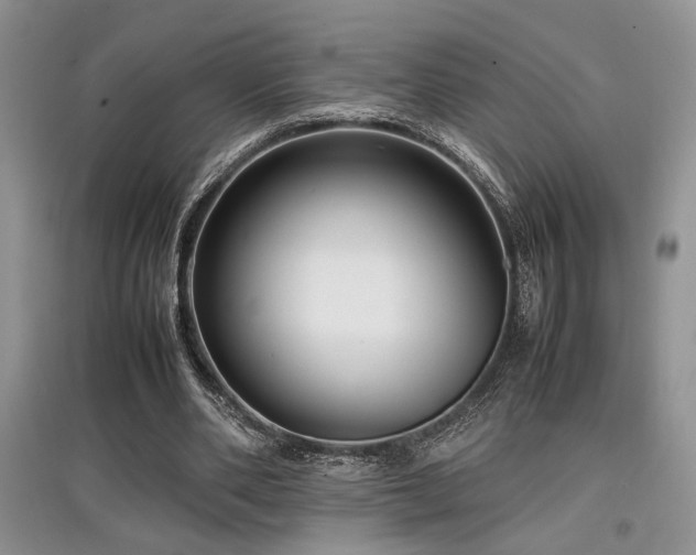 X0000097800486200803141057