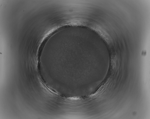 X0000097800488200803141057