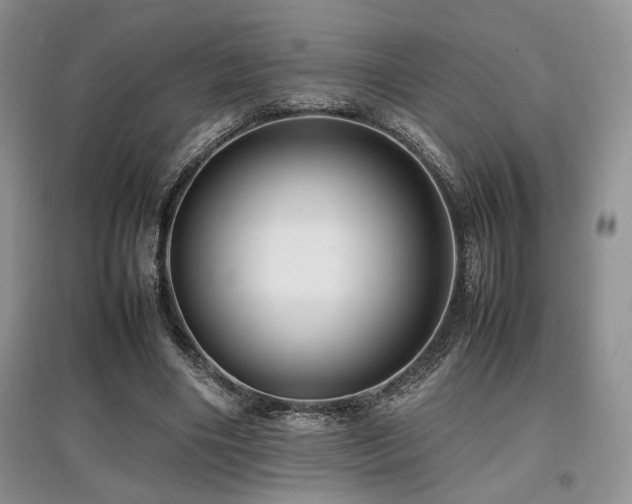 X0000097800490200803141057