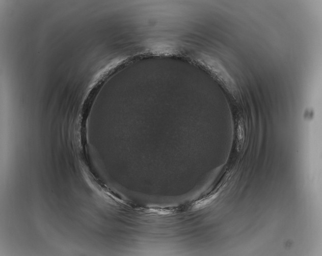 X0000097800492200803141057