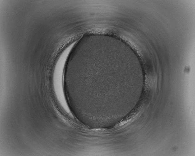 X0000097800493200803141057