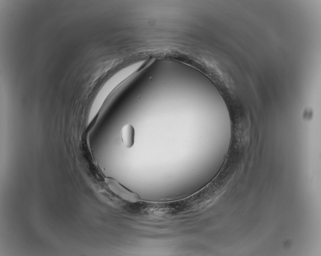 X0000097800495200803141057